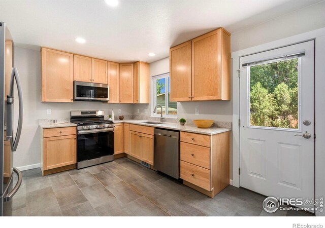 3055 Wells Fargo Dr, Fort Collins, CO 80521 - photo 9