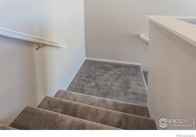 6105 Saddle Horn Dr, Timnath, CO 80547 - photo 19