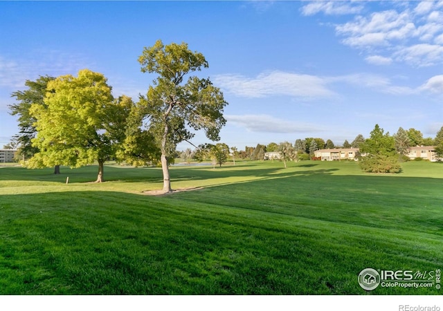 1109 Ironton St, Aurora, CO 80010 - view of community featuring a yard and golf course view