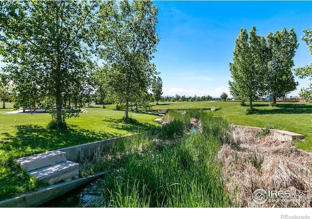 1109 Ironton St, Aurora, CO 80010 - view of home's community with a yard