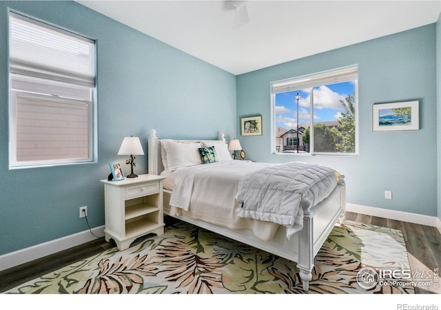 674 Sundance Dr, Windsor, CO 80550 - photo 19