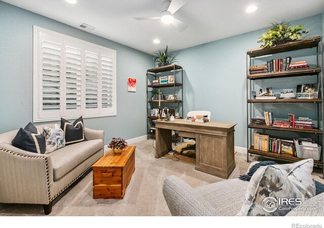 674 Sundance Dr, Windsor, CO 80550 - photo 22