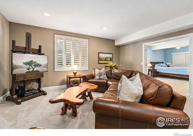 674 Sundance Dr, Windsor, CO 80550 - photo 26