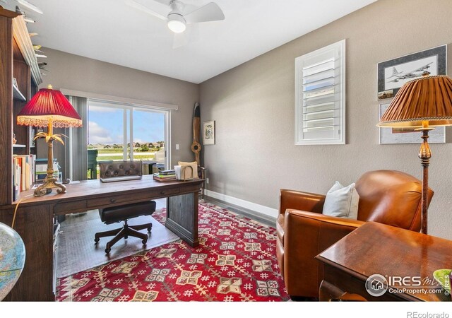 674 Sundance Dr, Windsor, CO 80550 - photo 18