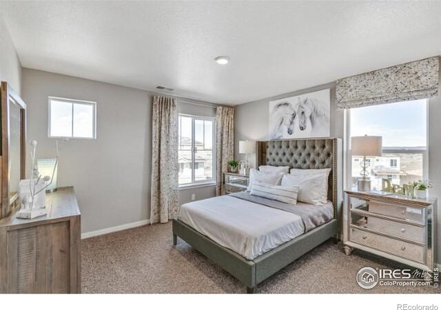 1907 Mount Monroe Dr, Berthoud, CO 80513 - photo 11
