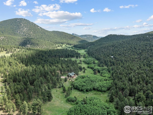 470 Big John Rd, Lyons, CO 80540 - photo 29