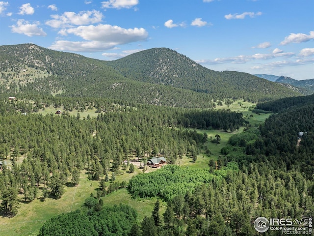 470 Big John Rd, Lyons, CO 80540 - photo 30