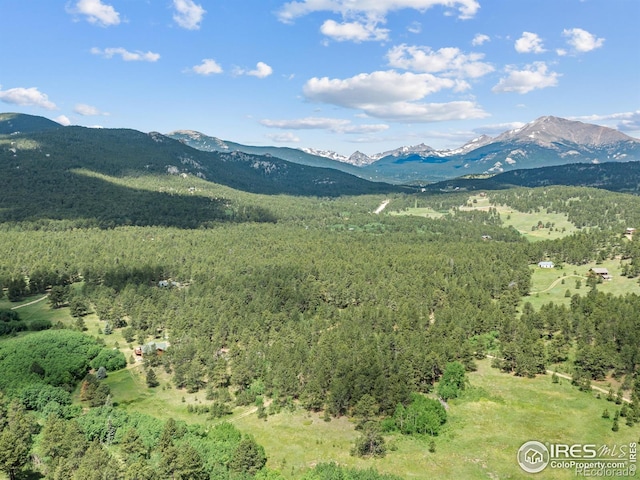 470 Big John Rd, Lyons, CO 80540 - photo 31