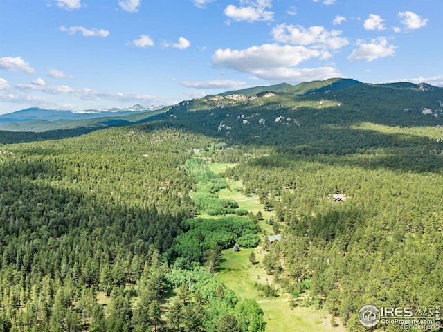 470 Big John Rd, Lyons, CO 80540 - photo 32