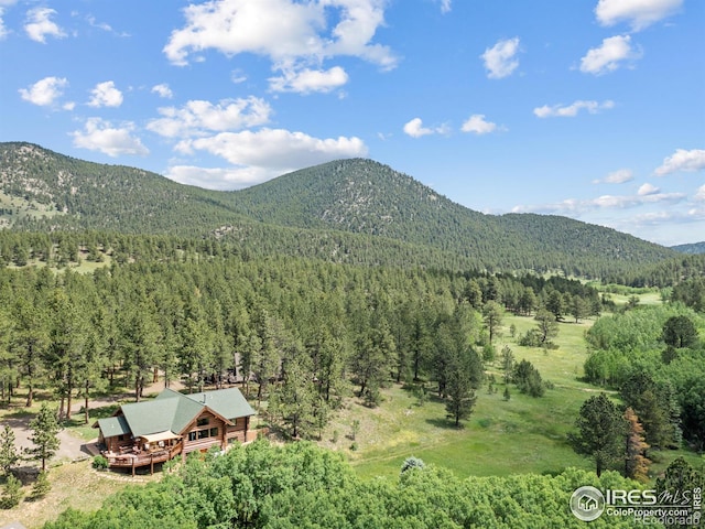 470 Big John Rd, Lyons, CO 80540 - photo 33