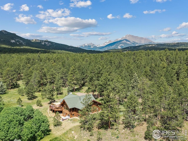 470 Big John Rd, Lyons, CO 80540 - photo 34