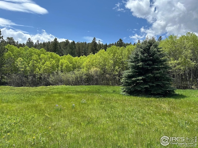 470 Big John Rd, Lyons, CO 80540 - photo 35
