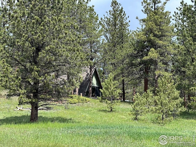 470 Big John Rd, Lyons, CO 80540 - photo 36