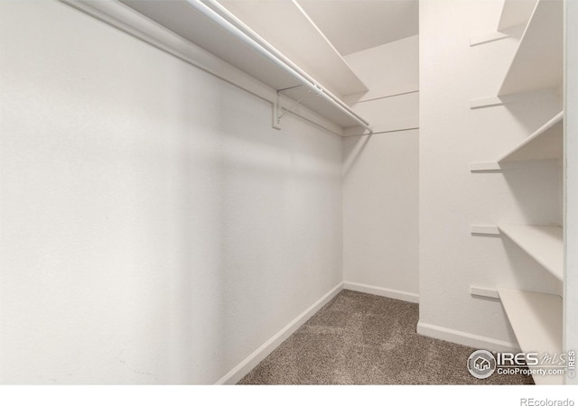 2120 Timber Creek Dr Unit H4, Fort Collins, CO 80528