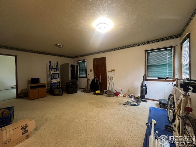 209 Chapman St, Wiggins, CO 80654 - photo 12