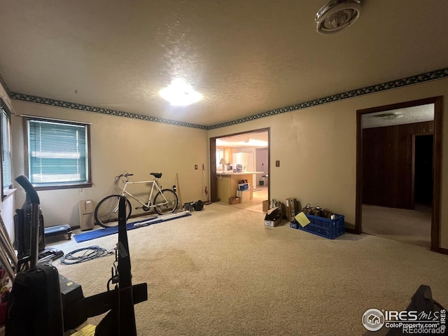 209 Chapman St, Wiggins, CO 80654 - photo 13