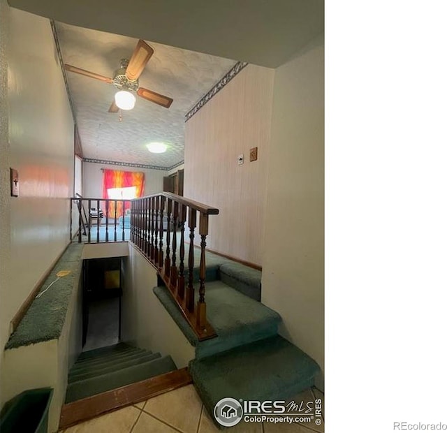 209 Chapman St, Wiggins, CO 80654 - photo 19