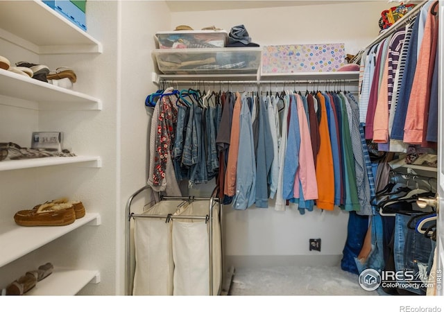 3000 E 112th Ave Unit 102, Northglenn, CO 80233 - walk in closet featuring carpet floors