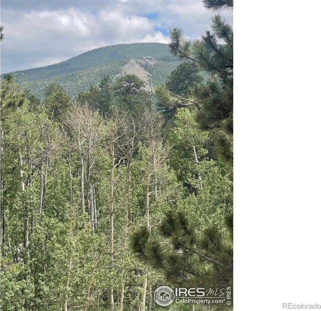23 2nd Ave, Allenspark, CO 80510