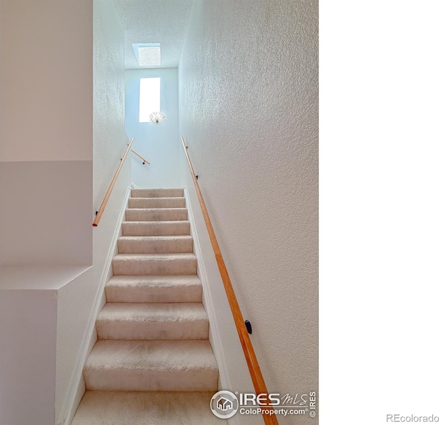 154 Blue Spruce Ct, Highlands Ranch, CO 80126 - photo 9
