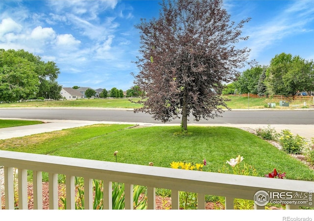 5493 Bobcat St, Frederick, CO 80504 - photo 3