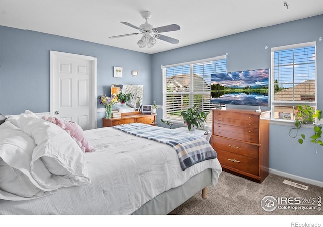 23570 E Holly Hills Way, Parker, CO 80138 - bedroom with carpet and a ceiling fan