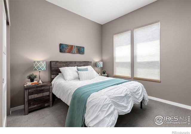750 Kubat Ln Unit B, Longmont, CO 80503 - bedroom featuring carpet