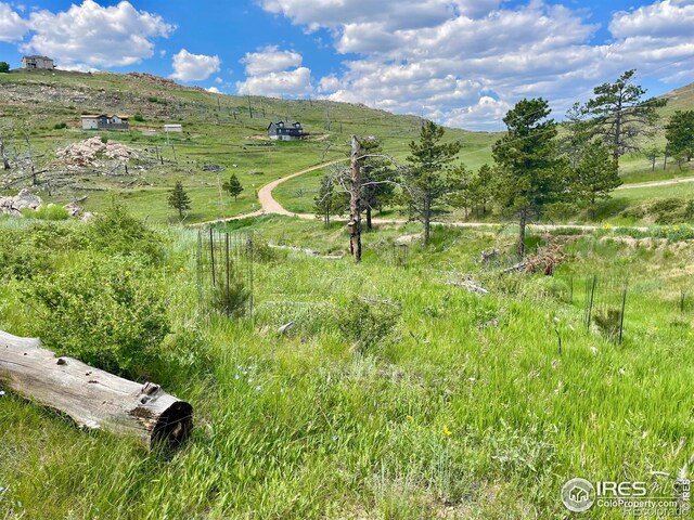 98 Mount Audubon Way, Livermore, CO 80536 - photo 8
