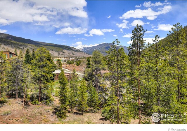 21680 US Highway 6 Unit 2058, Keystone, CO 80435 - photo 14