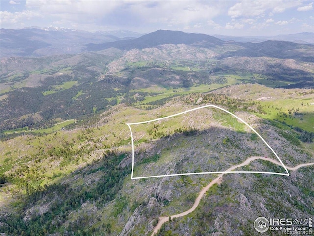 Tip Top Rd, Bellvue, CO 80512 - photo 4