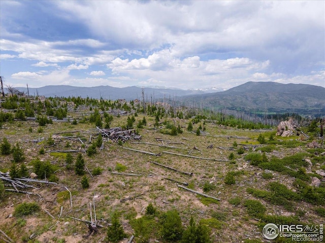 Tip Top Rd, Bellvue, CO 80512 - photo 6