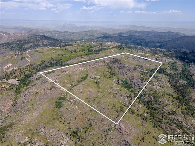 Tip Top Rd, Bellvue, CO 80512 - photo 7