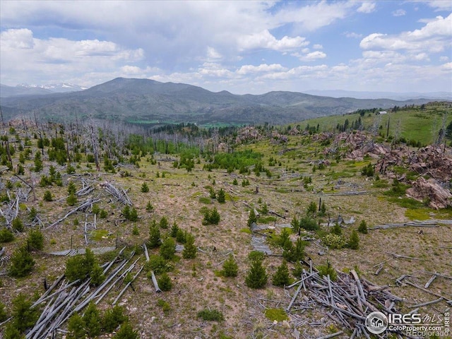 Tip Top Rd, Bellvue, CO 80512 - photo 8