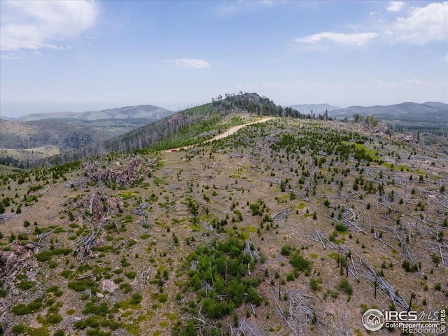 Tip Top Rd, Bellvue, CO 80512 - photo 9