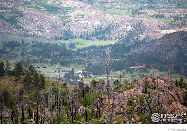 Tip Top Rd, Bellvue, CO 80512 - photo 12