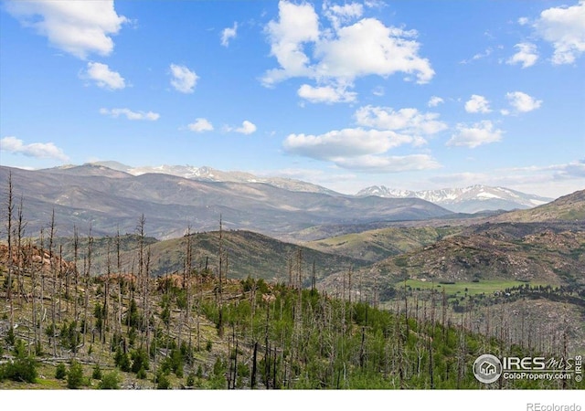 Tip Top Rd, Bellvue, CO 80512 - photo 13