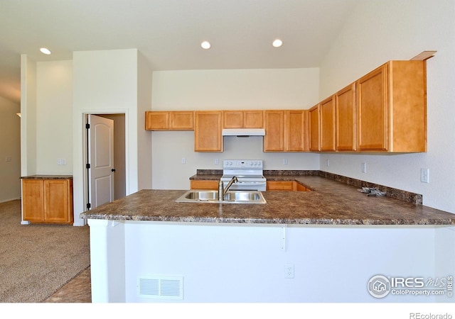625 87th Ave, Greeley, CO 80634 - kitchen featuring under cabinet range hood, white electric range oven, a peninsula, carpet floors, and recessed lighting