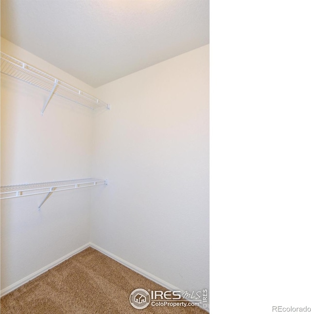 625 87th Ave, Greeley, CO 80634 - spacious closet with carpet floors