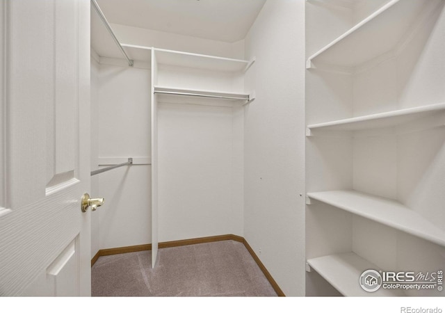 1754 45th Ave, Greeley, CO 80634 - walk in closet with carpet flooring