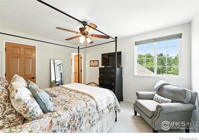 466 Cove Dr, Loveland, CO 80537 - photo 20