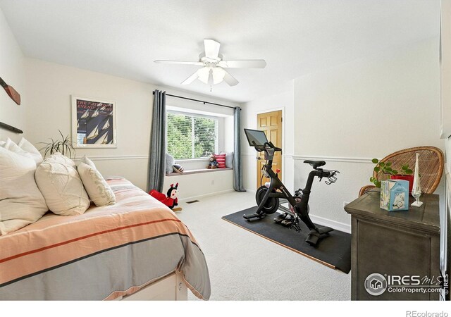 466 Cove Dr, Loveland, CO 80537 - photo 22