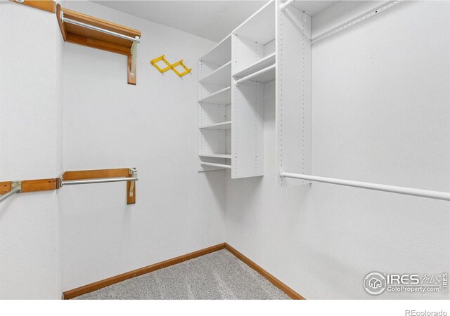 5625 W 117th Pl, Westminster, CO 80020 - photo 29