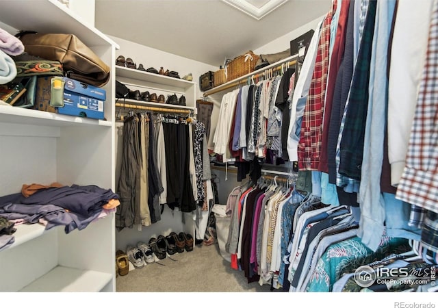 4644 W 112th Ct, Westminster, CO 80031 - walk in closet with carpet flooring