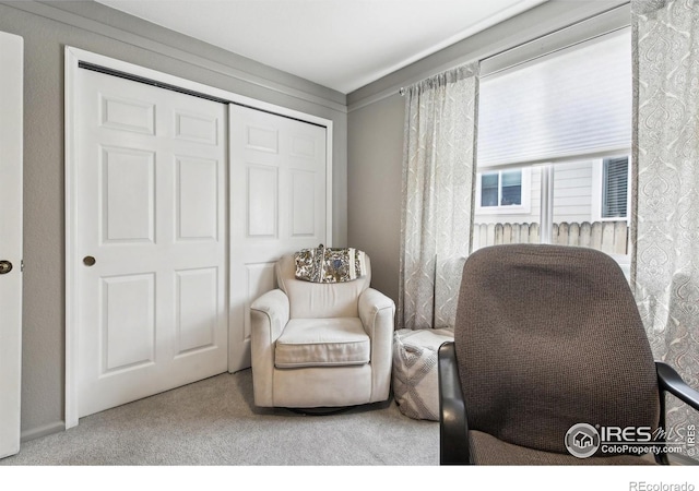 4644 W 112th Ct, Westminster, CO 80031 - living area with carpet floors