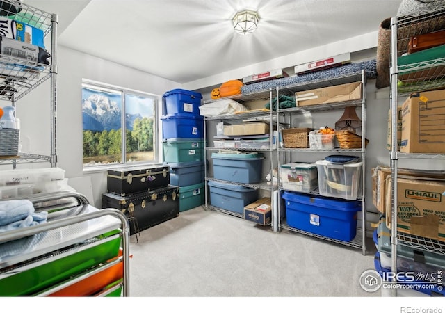 4644 W 112th Ct, Westminster, CO 80031 - view of storage area