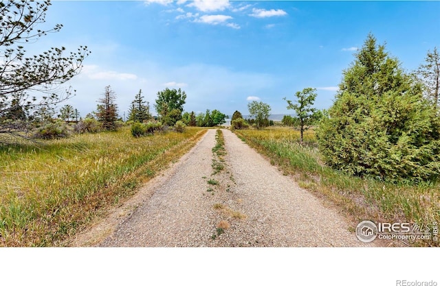 6485 N County Road 19, Fort Collins, CO 80524 - photo 15