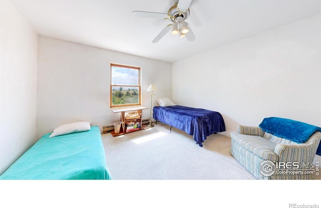 6485 N County Road 19, Fort Collins, CO 80524 - photo 35