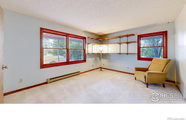 6485 N County Road 19, Fort Collins, CO 80524 - photo 36
