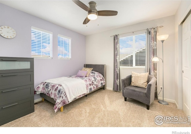 5355 Brookline Dr, Timnath, CO 80547 - carpeted bedroom featuring multiple windows, ceiling fan, and a closet