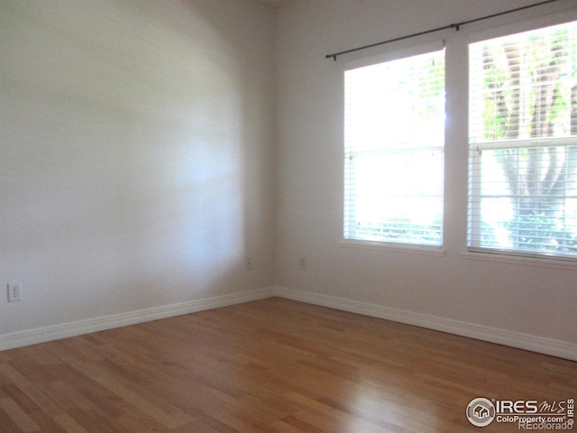 1900 68th Ave Unit 701, Greeley, CO 80634 - empty room with light wood-style flooring and plenty of natural light